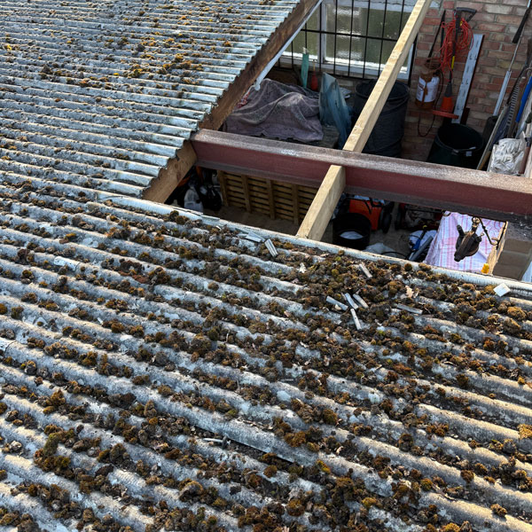Asbestos Roof Solutions