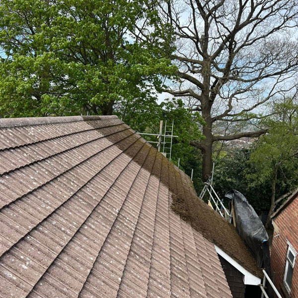 Roof Cleaning Services Roof Cleaning Services
